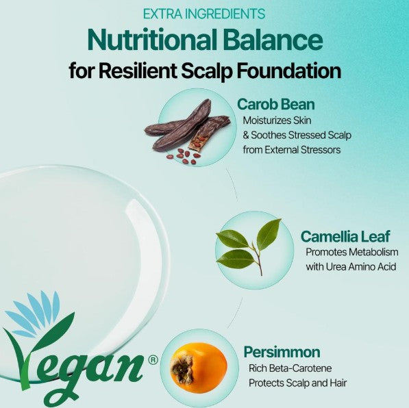 [BAO H. LAB] Hair Loss Care Ampoule