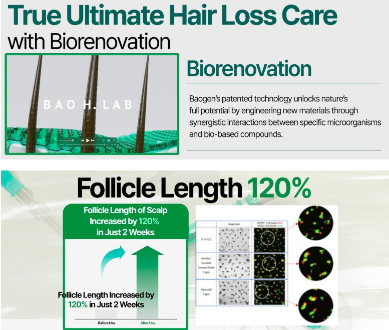 [BAO H. LAB] Hair Loss Care Ampoule